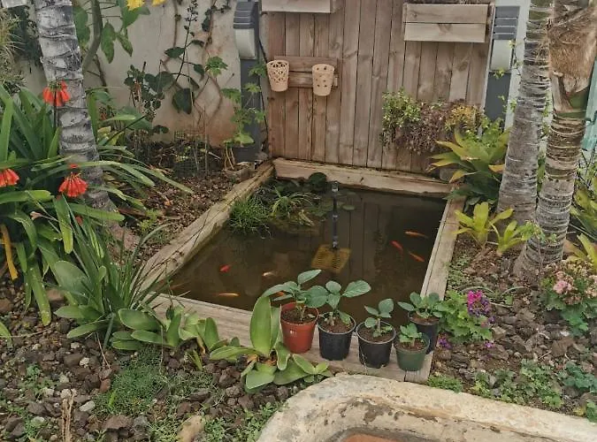 Jardin44 Apartamento *